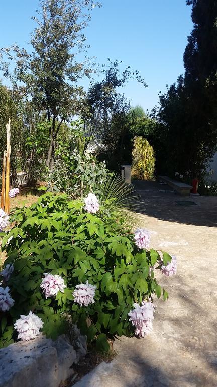 Villa Massa Piscina 폴리나노 아마레 외부 사진